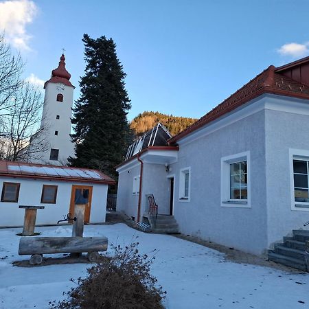 Haus Steiner Daire Teufenbach  Dış mekan fotoğraf