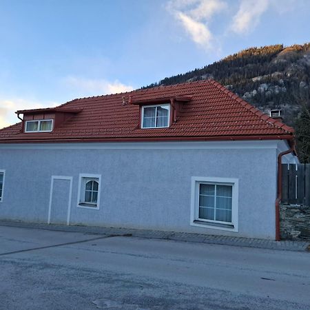 Haus Steiner Daire Teufenbach  Dış mekan fotoğraf